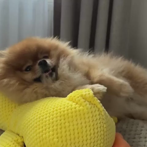 Vidéo