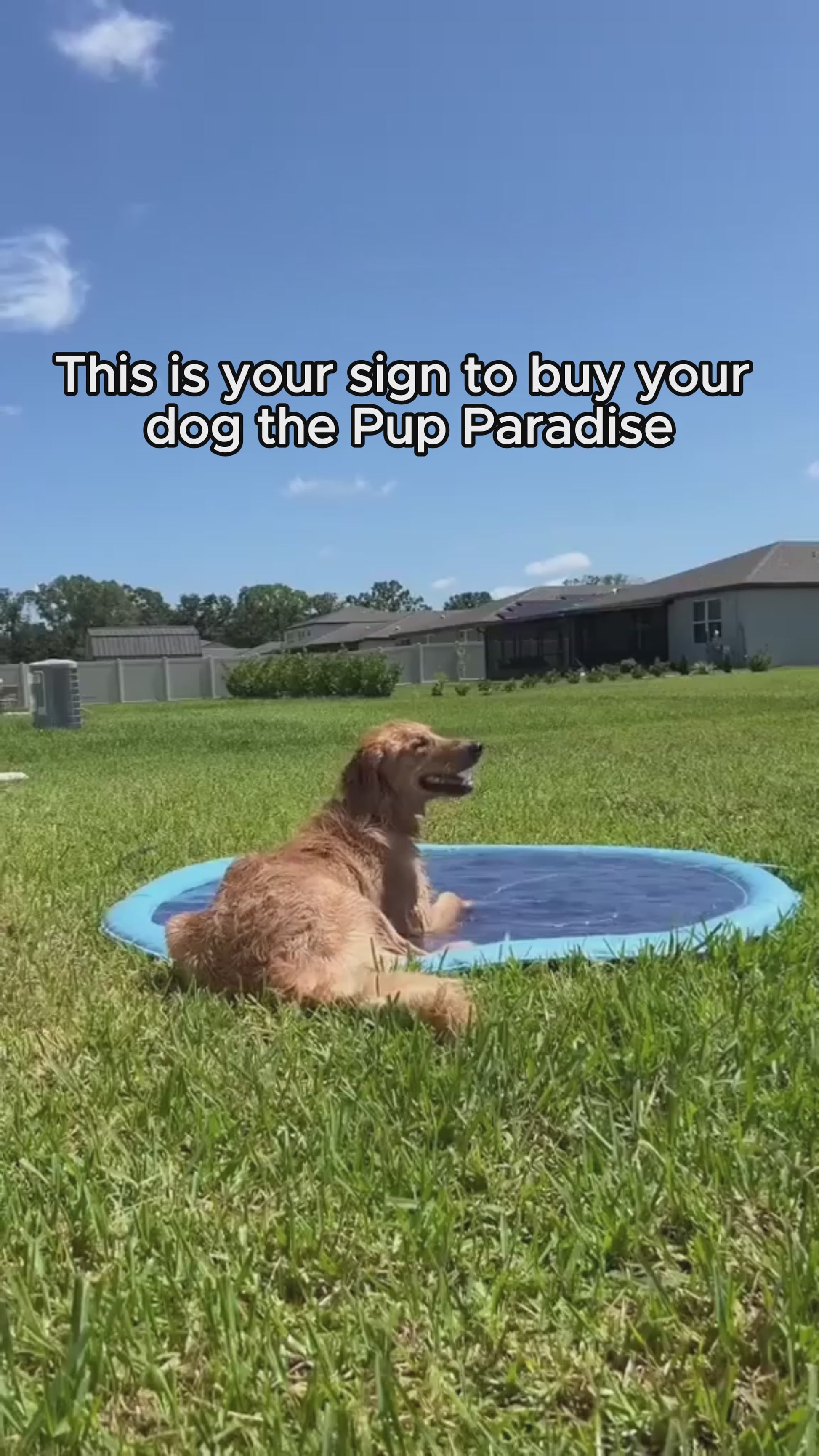 Vidéo