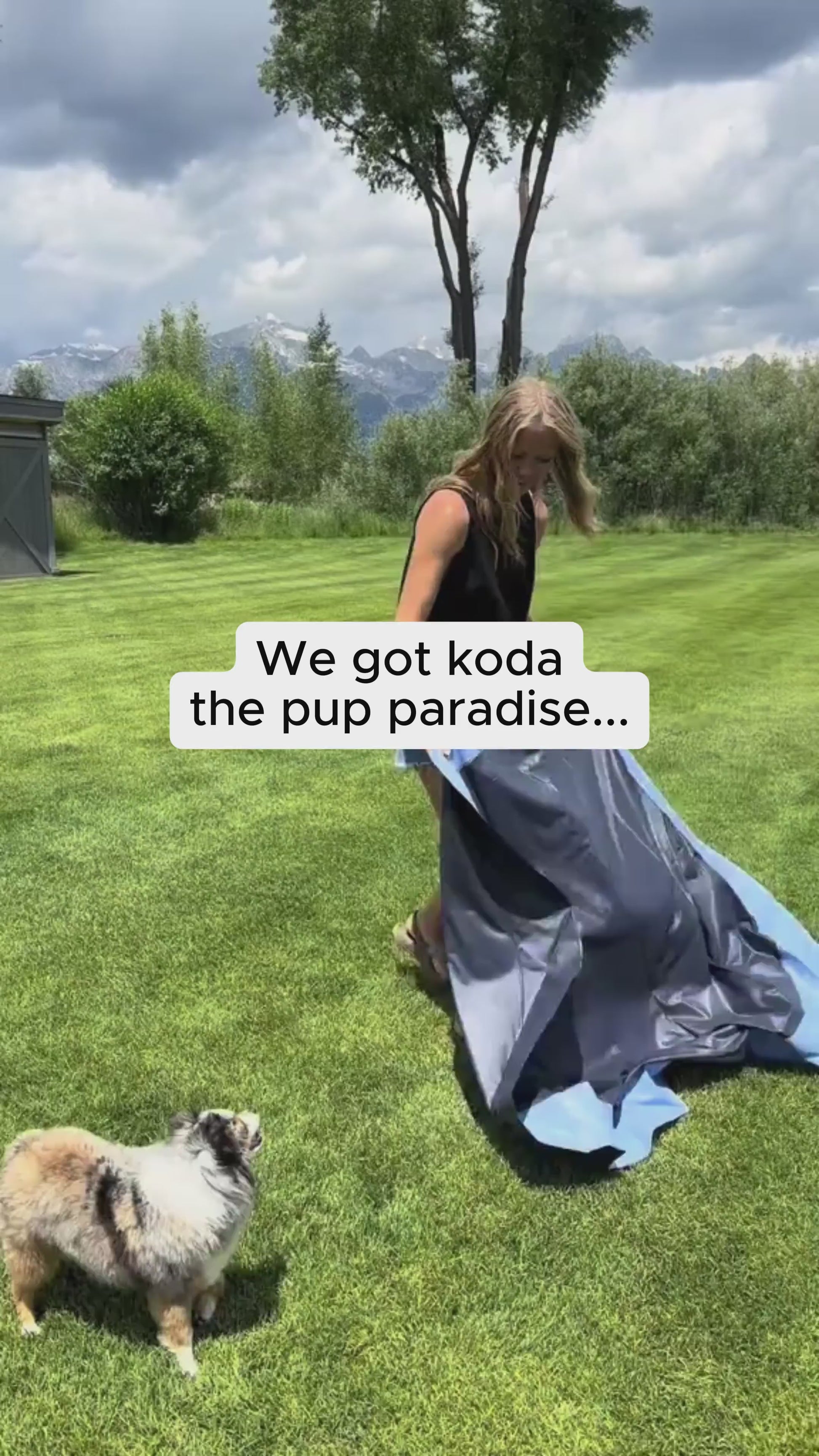 Vidéo