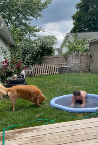 Marine